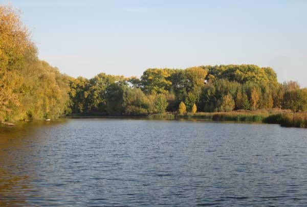 Озеро в осенних красках