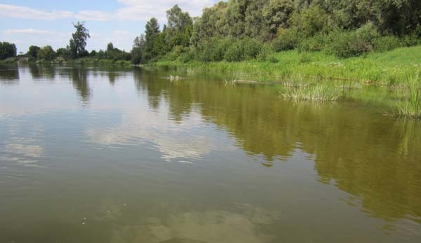 Отмель