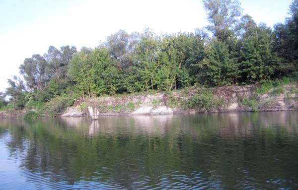 Берега реки