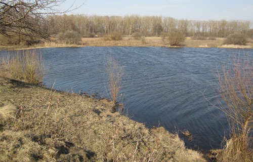 Весенние старицы