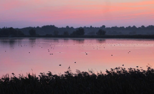 Карп на микроджиг (на съедобку)