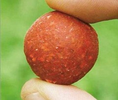 Бойлы в домашних условиях