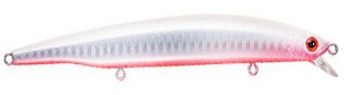 BassDay Log Surf