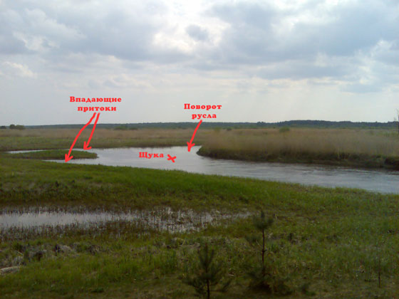 Место ловли