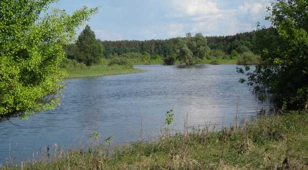 Протока реки Сейм