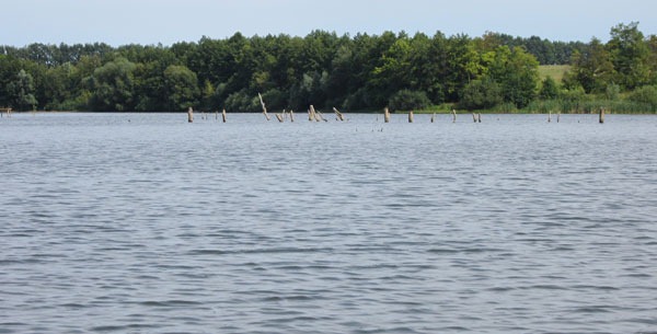 Коряжник по середине водохранилища