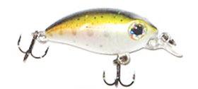 Kosadaka Roger Midi