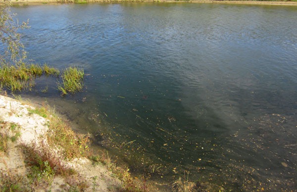 Коловерть. Листва на воде крутится