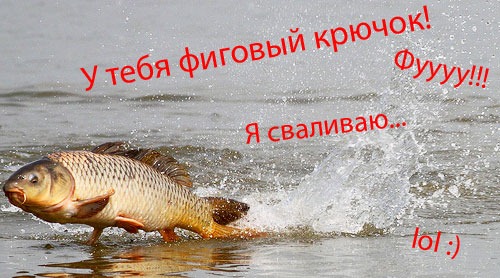 Карповая ловля