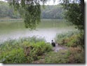 Ловля щуки: 7 рабочих приманок для крупного хищника