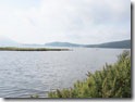 Межсезонье. Ловля дальневосточной красноперки в устьях