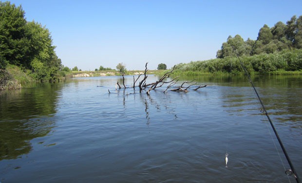 По реке