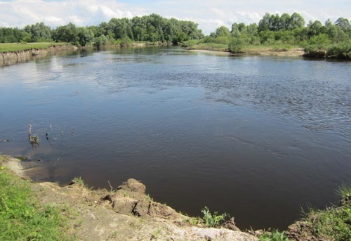 Чехонь на спиннинг. Отчет