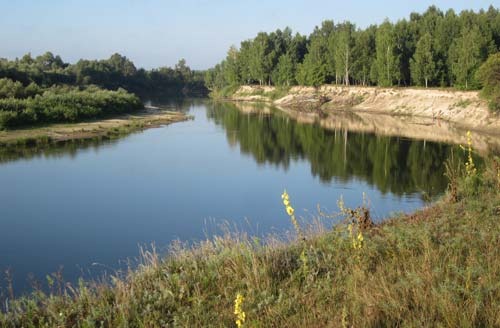 Маньячка – убийца, и ее французская подружка