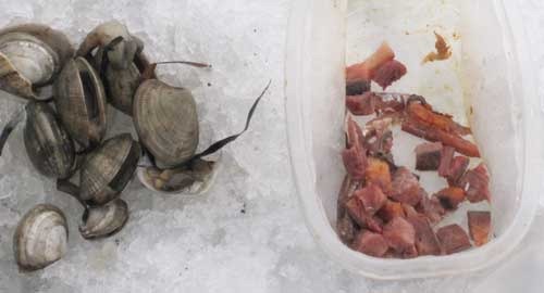 Насадки для зимней рыбалки на море