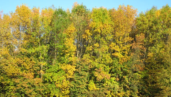 Как выбрать снасти для рыбалки: 7 ошибок новичков