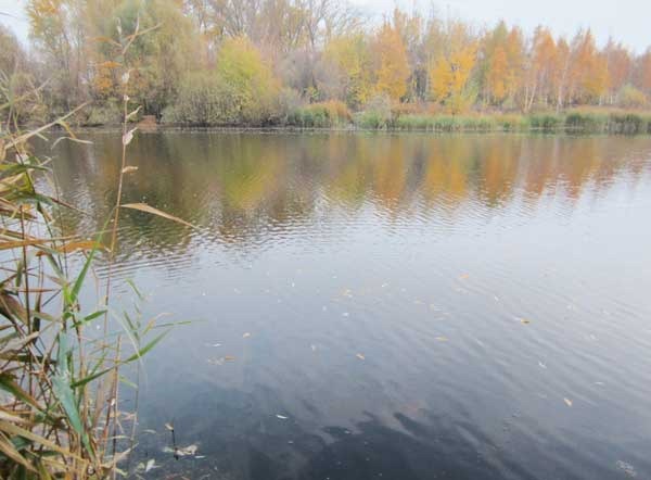 Несколько осенних рыбалок