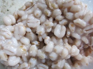 Перловка на карася