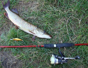 Щучка на воблер Yo-zuri 3D Minnow