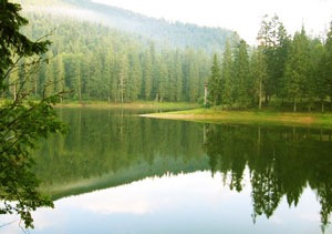 Платный водоем