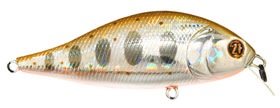 Pontoon 21 Bet A Shad