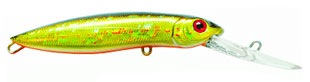 Pontoon 21 Moby Dick