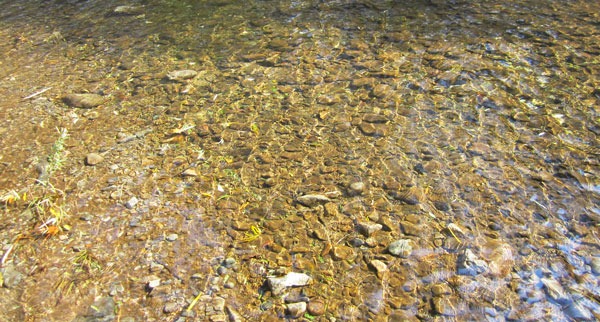 Прозрачная и чистая вода горной реки