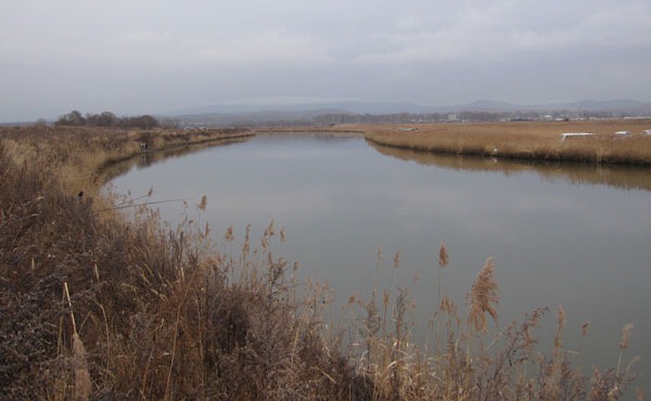 На реке близ моря