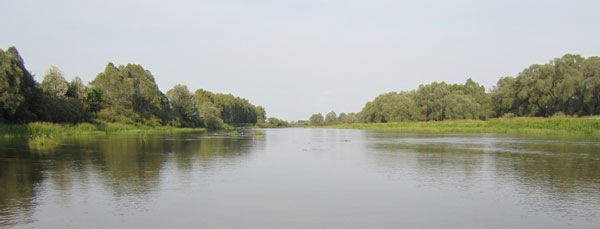 Река обмелела