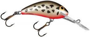 salmo hornet