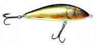 Salmo Warrior
