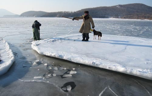 Процесс добычи ракушки песчанки зимой