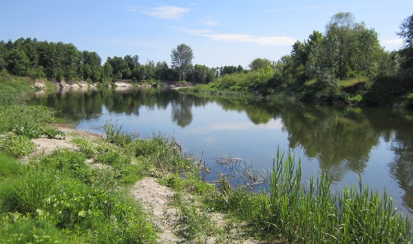 Отмель на реке