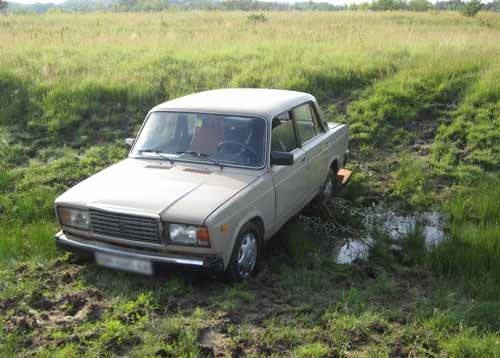 Речной залив в июне. Отчет