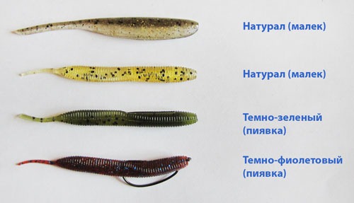 Цвет слагов