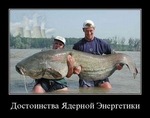 Планы!