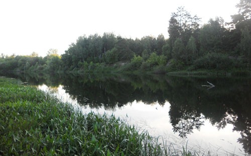 Рыбалка на реке летом