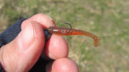 Сработала съедобка Crazy Fish Nano Minnow