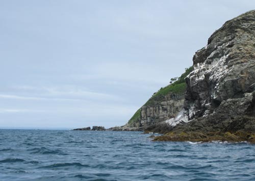 Море и скалы