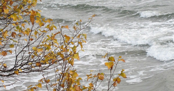 Суровое осеннее море