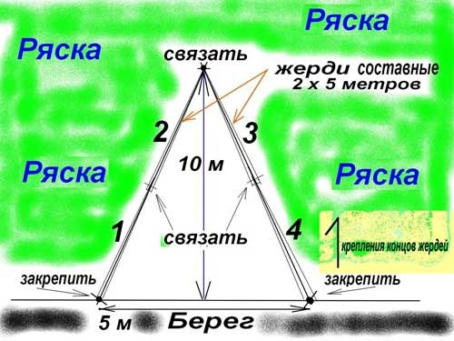 Ловля в ряске
