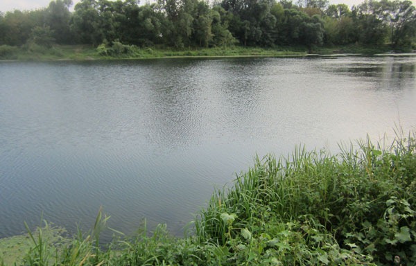 Хороший подход к воде, но много водорослей