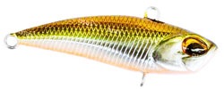 Раттлин Usami Daiba