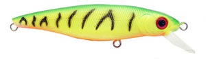 Usami Nishin