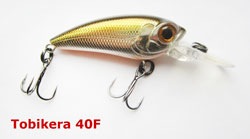 Usami Tobikera