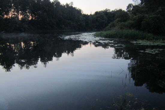 Раннее утро на стоянке