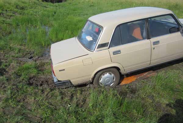 Речной залив в июне. Отчет