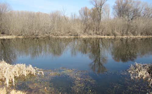 Вода есть