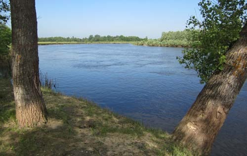 Голавль 2013. Начало