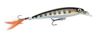 Rapala X-Rap